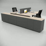 Ear Double 320 Cm Study Desk with Bottom Shelf Workstation Oak